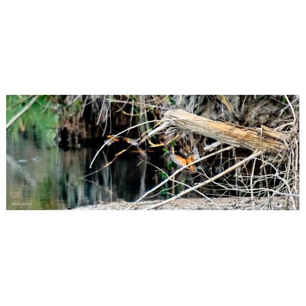 PHOTO84, CLUB, 84 , LUBERON